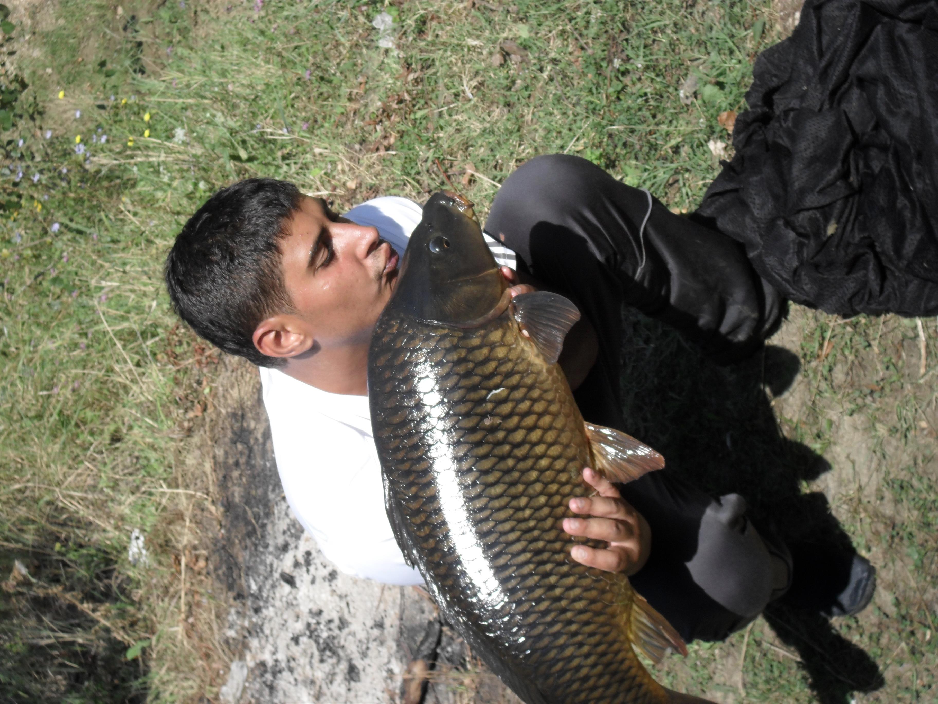 balastiera pescarusu fratelo - SAM_0385.JPG